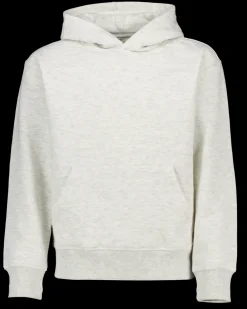 Zeeman Truien & Vesten|Truien & Vesten^Hoodie - Grijs