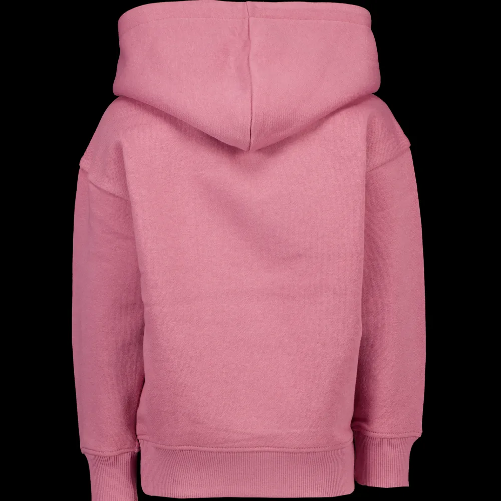 Zeeman Truien & Vesten|Truien & Vesten^Hoodie - Rood