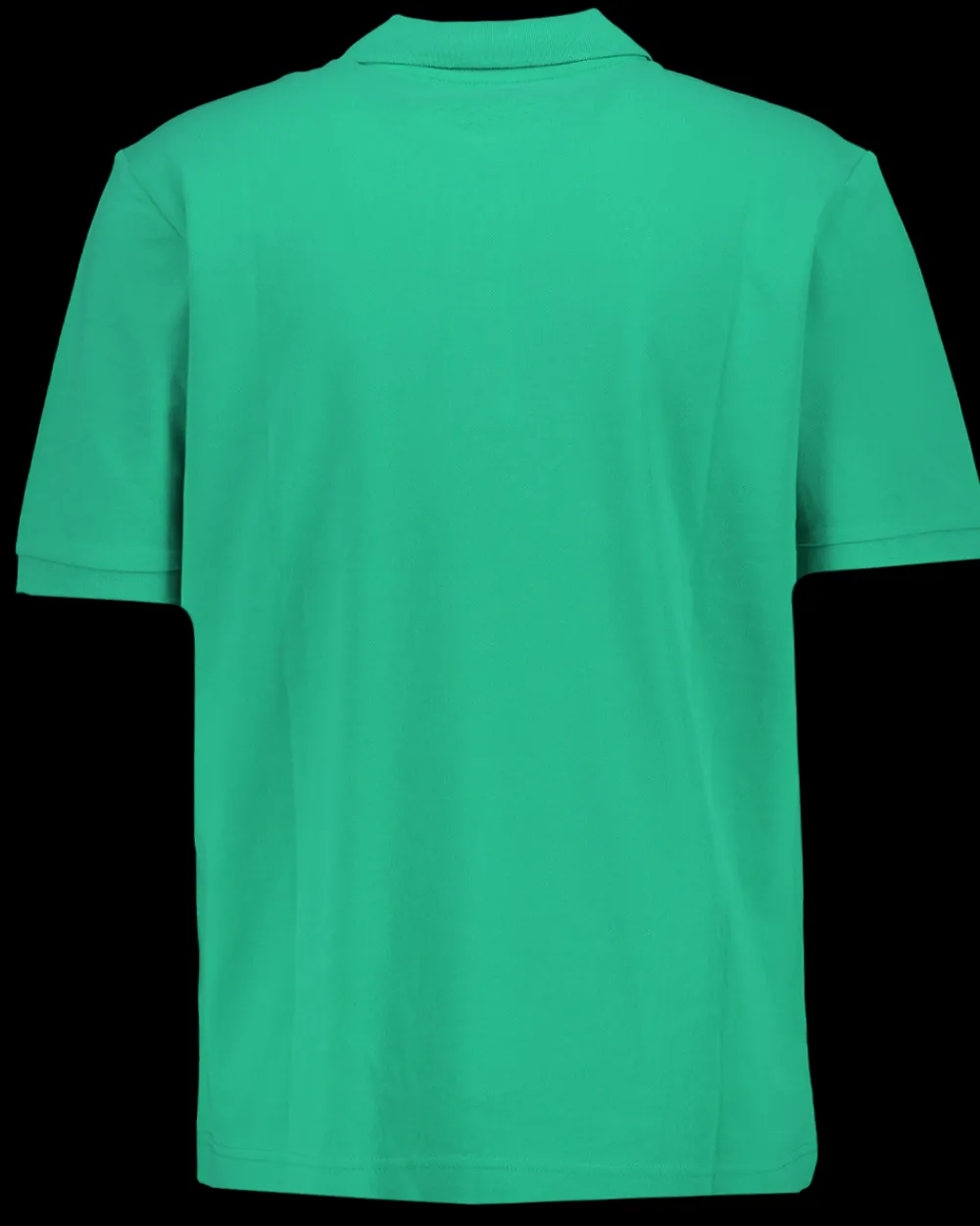 Zeeman T-shirts & Polo's^Poloshirt - Groen