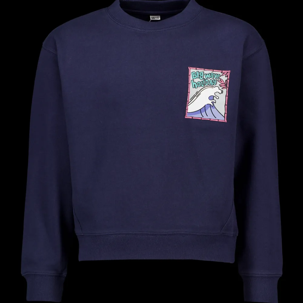 Zeeman Truien & Vesten|Truien & Vesten^Sweater - Blauw