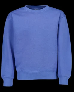 Zeeman Truien & Vesten|Truien & Vesten^Sweater - Blauw