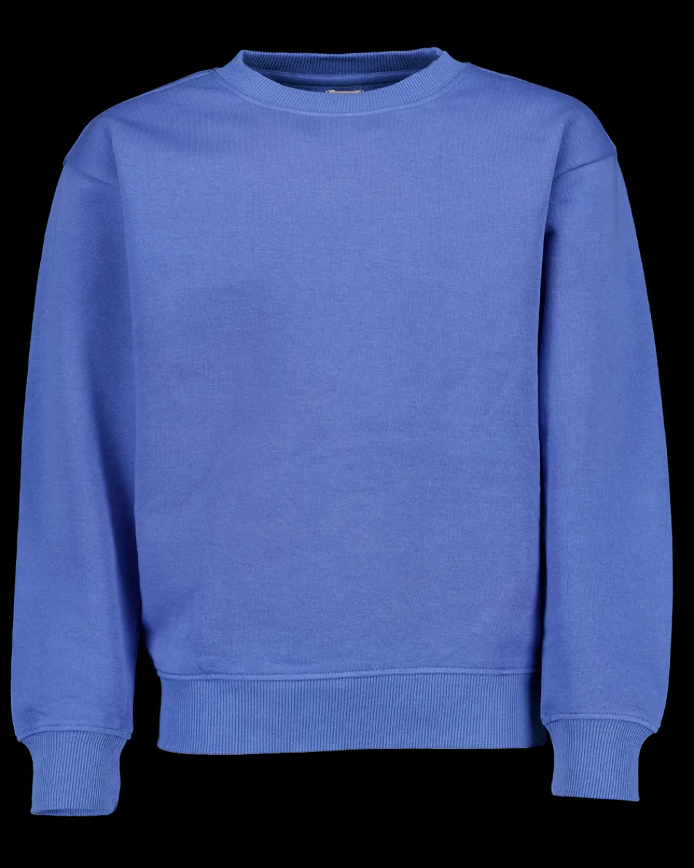 Zeeman Truien & Vesten|Truien & Vesten^Sweater - Blauw