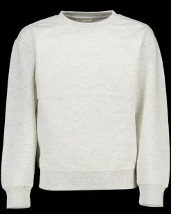 Zeeman Truien & Vesten|Truien & Vesten^Sweater - Grijs