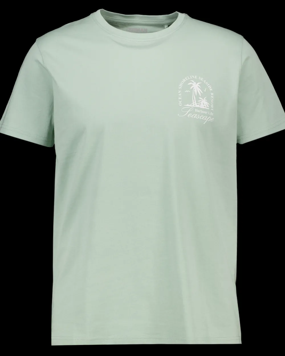 Zeeman T-shirts & Polo's^T-shirt - Groen