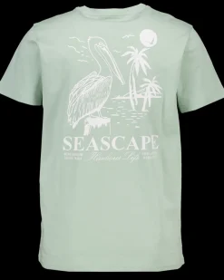 Zeeman T-shirts & Polo's^T-shirt - Groen
