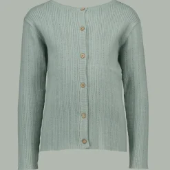 Zeeman Truien & Vesten^Vest - Groen