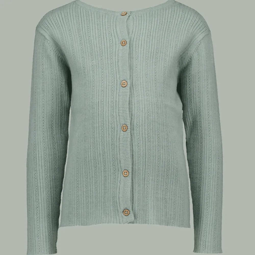 Zeeman Truien & Vesten^Vest - Groen